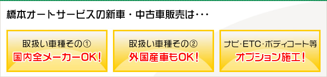 取扱い車種 国内全メーカーOK！ 外国産車もOK！ナビ・ETC・ボディコート等 オプション施工！